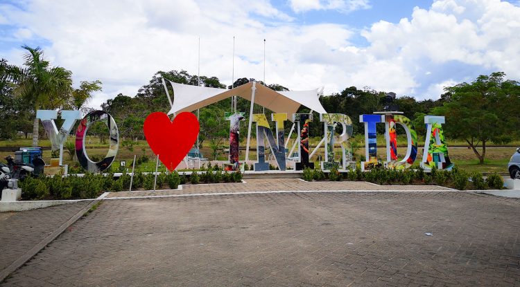 Selva Colombo-Venezolana